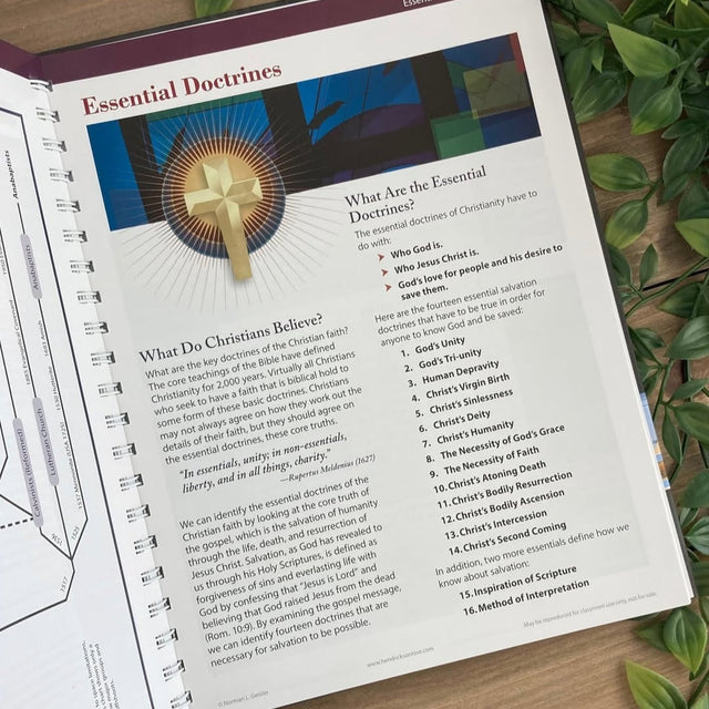 Rose Book of Bible Charts, Maps & Time Lines